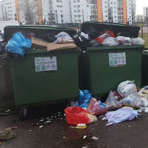 В Ласнамяэ и Пыхья-Таллине 1 ноября начинается организованный вывоз мусора. Автор/источник фото: Vitali Faktulin.