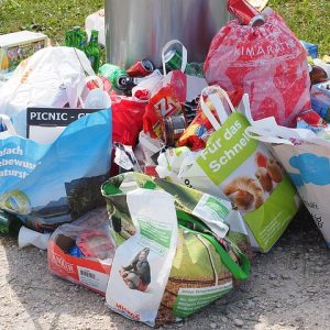 В Ласнамяэ и Пыхья-Таллине временно меняется график вывоза мусора. Автор/источник фото: Pixabay.com.